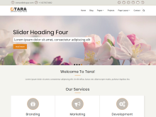 Tara theme preview